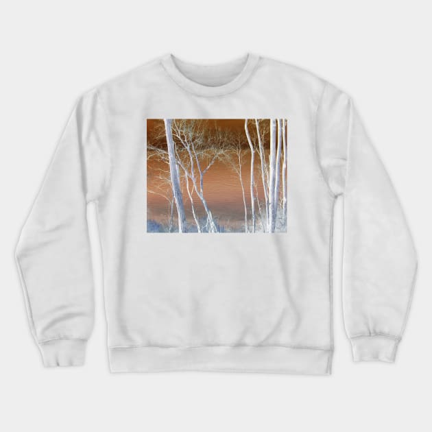 Lake Michigan Through the Trees Crewneck Sweatshirt by aldersmith